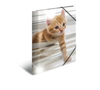 HERMA 19328 Lot de 3 dossiers de collection A4 en plastique avec élastique et imprimé intérieur pour enfants Motif animaux chats Pour garçons et filles