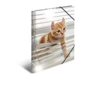 HERMA 19337 Classeur DIN A3 en plastique solide avec effet brillant et rabats intérieurs imprimés Motif animaux et chats