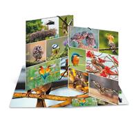 Herma Classeur A4 19345 Animal Worlds Home Birds — carton robuste, intérieur imprimé, élastique