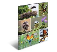 Herma Classeur A4 19345 Animal Worlds Home Birds — carton robuste, intérieur imprimé, élastique