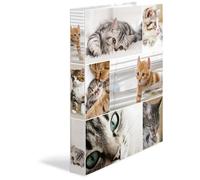 Herma 19359 Classeur À Anneaux A4 Multicolore