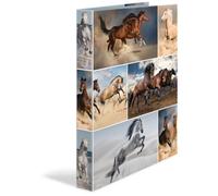 Herma 19360 Classeur À Anneaux A4 Multicolore