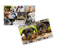 Herma 19378 Sous-Mains Carton Multicolore