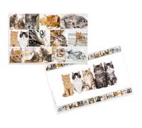 Herma 19379 Sous-Mains Carton Multicolore