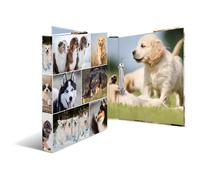 Herma 19427 Classeur À Anneaux A4 Multicolore