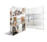 Herma 19428 Classeur À Anneaux A4 Multicolore