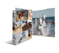 Herma 19429 Classeur À Anneaux A4 Multicolore