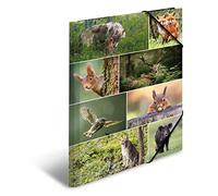 Herma Porte-documents A3 19451 – Animaux de la forêt, carton, bande élastique, robuste, pour enfants