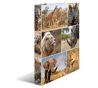 HERMA 19476 Classeurs à anneaux A4 Animaux Afrique, Pack de 3, Fin, 2 anneaux, 35 mm de large, Classeur en carton avec impression intérieure pour l'école et le bureau, Ensemble de classeurs à anneaux