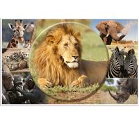 HERMA 19676 HERMA sous-main Animaux d'Afrique 55x35 3 pièces