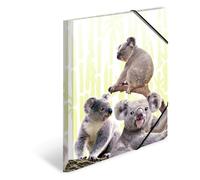 Herma 19958 Porte-documents format A4 animaux exotiques en plastique solide avec rabats intérieurs imprimés, reliure élastique, classeur à onglets, 1 porte-documents pour enfants