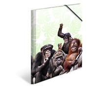 Herma 19960 Classeur DIN A4 animaux exotiques bande de singes en plastique solide avec rabats intérieurs imprimés, reliure élastique, 1 porte-documents pour enfants