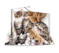 Herma Chemise à élastique 7138 A4 – Polypropylène, motif chats, imprimé intérieur – Multicolore