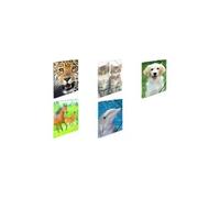 HERMA Chemises à élastique Animaux Chats A4, Polypropylène, avec impression intérieure, chemise plastique avec rabat