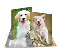 Herma – Chemise à élastique Animaux Chiens – A4 – Polypropylène, impression intérieure, avec rabat