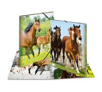 Herma Chemise 7145 Esselte-Leitz 3 pp-chevaux G