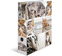 HERMA 7166 Multi Cartable A4