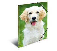 HERMA Chemise 3 rabats et élastique polypro pour A4 Motif Chien