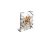 herma chemise à élastiques "chats", pp glossy, a3 noir