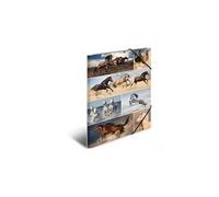 Herma Fichier carton 19217 Multicolore A3