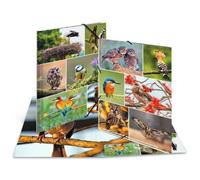 Herma Chemise À Élastiques "Oiseaux", Carton, A3