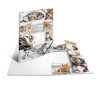 HERMA Chemises à élastique Animaux avec motif Chats, A3, carton robuste, avec impression intérieure, 1 porteé de chemise