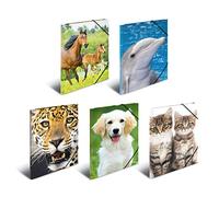 HERMA Chemises à élastique Animaux A4, Polypropylène, avec impression intérieure, lot de 10 chemise plastique avec rabat, Couleurs assorties
