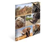 HERMA Chemises à élastique Animaux avec motif Aniimaux d'afrique, A4, carton robuste, avec impression intérieure, 1 porteé de chemise