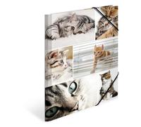 Herma Chemises à élastique Animaux motif Chats A4 — carton robuste, impression intérieure, 1 porteé