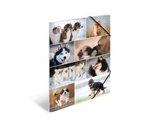 HERMA Chemises à élastique Animaux avec motif Chiens, A3, carton robuste, avec impression intérieure, 1 porteé de chemise
