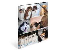 Herma Chemises à élastique A4 Animaux motif Chiens – carton robuste, impression intérieure
