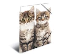 HERMA Chemises à élastique Animaux Chats A4, Polypropylène, avec impression intérieure, chemise plastique avec rabat