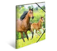 HERMA Chemises à élastique Animaux Chevaux A3, Polypropylène, avec impression intérieure, chemise plastique avec rabat