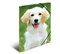 HERMA Chemises à élastique Animaux Chiens A3, Polypropylène, avec impression intérieure, chemise plastique avec rabat