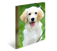 HERMA Chemises à élastique Animaux Chiens A4, Polypropylène, avec impression intérieure, chemise plastique avec rabat