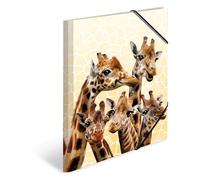HERMA Chemises à élastique Animaux exotiques avec motif Amis de girafes, A4, plastique robuste, avec impression intérieure, 1 porteé de chemise