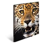 HERMA Chemises à élastique Animaux Leopard A4, Polypropylène, avec impression intérieure, chemise plastique avec rabat