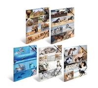 HERMA Chemises à élastique Animaux, Lot de 10, A3, carton robuste, avec impression intérieure, 1 porteé de chemise