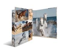 HERMA Classeur à anneaux 'Animals' - chevaux, A4, mécanisme G