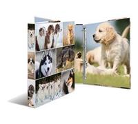 Herma Classeur à 4 anneaux A4 motif chiens, dos de 35 mm, carton rigide, avec compresseur