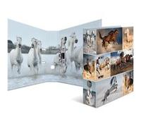 HERMA 7164 Classeur à anneaux A4