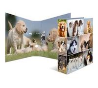 Herma 7165 Classeur À Anneaux A4