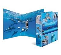 HERMA 7167 Multi Cartable Classeur Dauphin A4