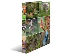 HERMA Classeurs á 2 anneaux A4 Animaux motif animaux de la foret, dos de 35 mm, Classeur en carton rigide, Avec compresseur
