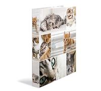 HERMA Classeur à anneaux 'Animals' - chats, A4, mécanisme à G
