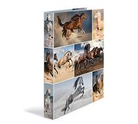 HERMA Classeurs á 2 anneaux A4 Animaux motif chevaux, dos de 35 mm, Classeur en carton rigide, Avec compresseur