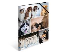 HERMA Elastic Folder Animals with Dogs Motif, A4, Sturdy Cardboard, with Inner P