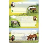 Herma Étiquettes d'étiquetage chevaux 5568 – Lot 6, 76×35 mm, autocollantes, lignées, multicolore