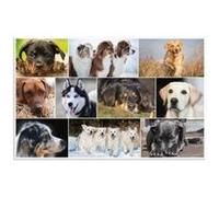 Herma herma sous-main "chiens" , (l)550 x (h)350 mm noir G