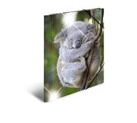 HERMA Koala Lot de 3 chemises à élastiques A4 pour enfants, en plastique, avec motif animal, aspect brillant, élastique, rabats intérieurs et impression intérieure, pour garçons et filles